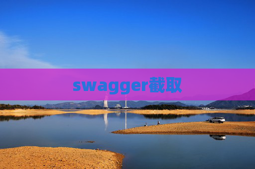 swagger截取